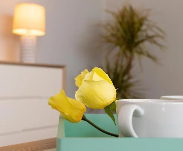 Maribel Pocillos Vila *