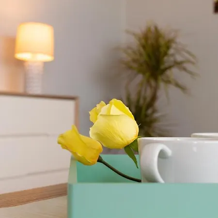 Maribel Pocillos Willa *